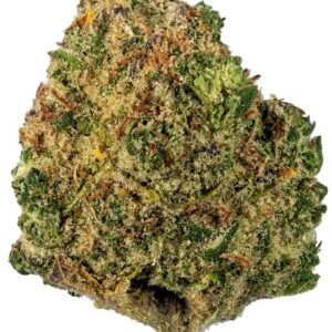 Chocolate OG Marijuana Strain