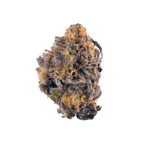 Purple Kush Marijuana Strain