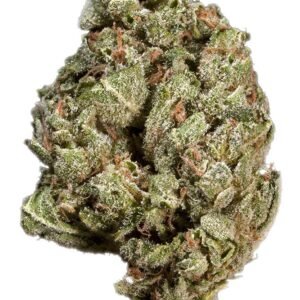 Sour OG Marijuana Strain