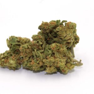 Three Blue Kings Marijuana Strain