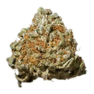 Tora Bora Marijuana Strain