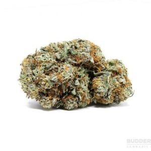 West Coast Diesel Marijuana Strain